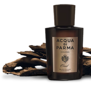 Colonia Oud image 0