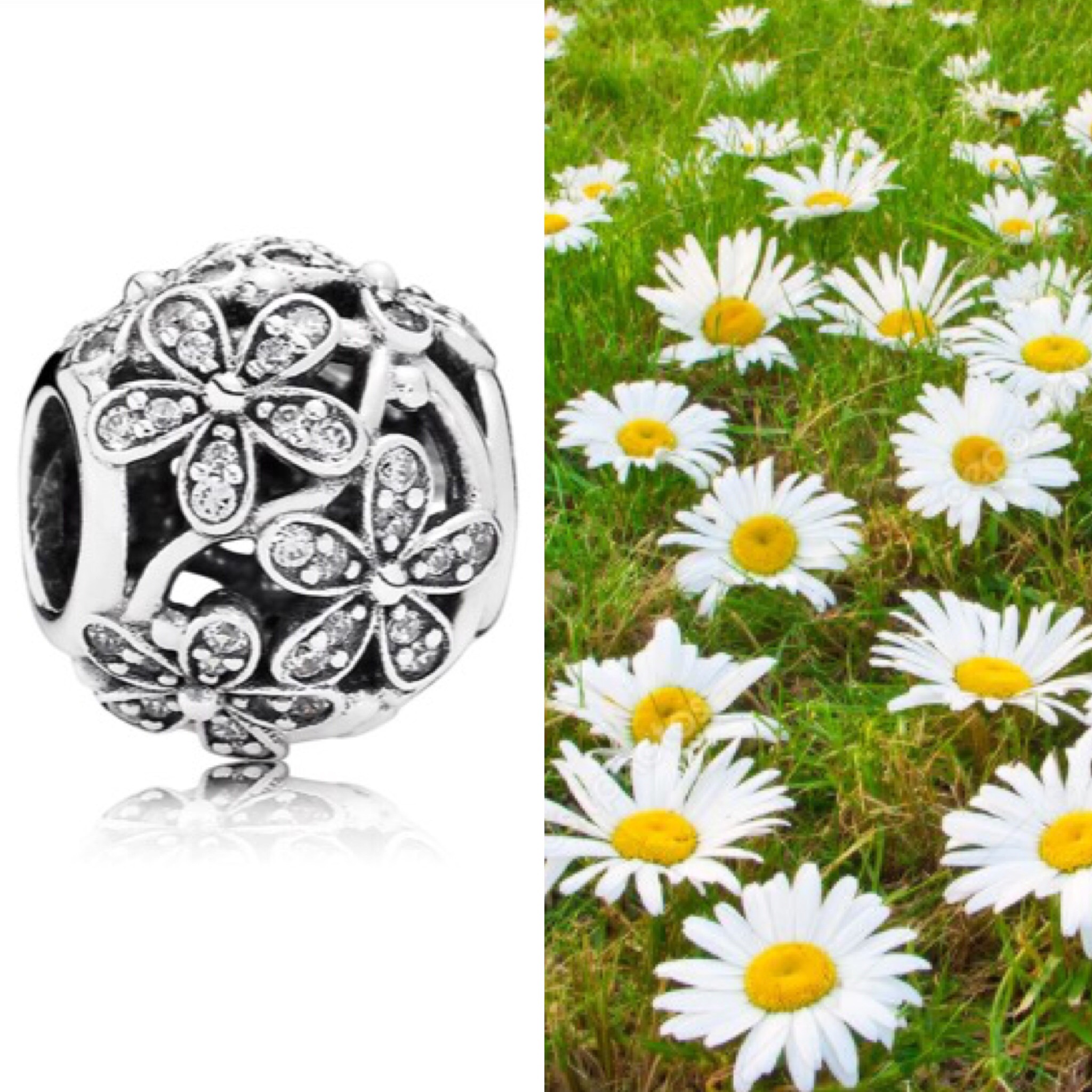 Шарм Ромашки на лузі 791492CZ Pandora