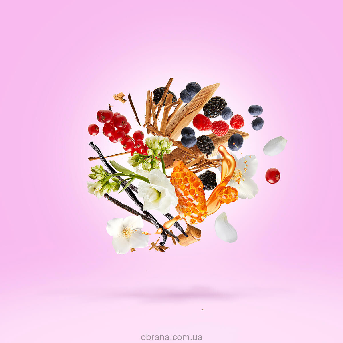 Casamorati 1888 Gran Ballo Xerjoff image 0