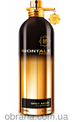 Spicy Aoud Montale image 0