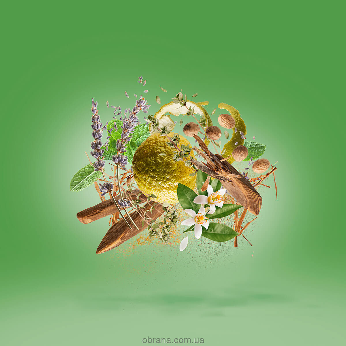 Casamorati 1888 Fiero Xerjoff image 0