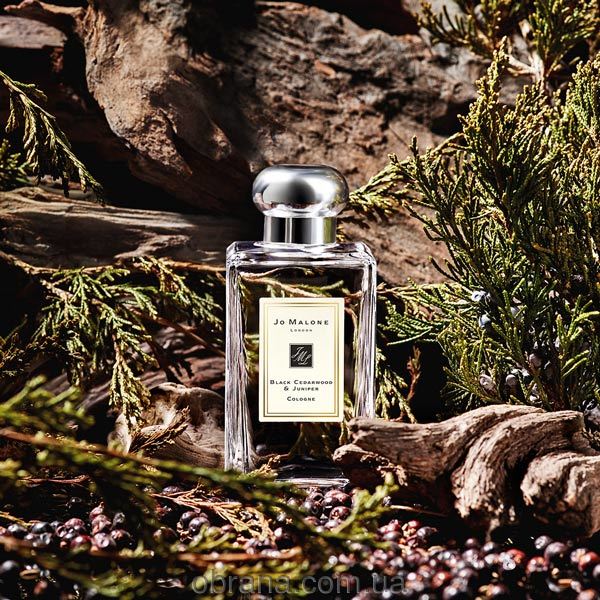 Black Cedarwood and Juniper Jo Malone London