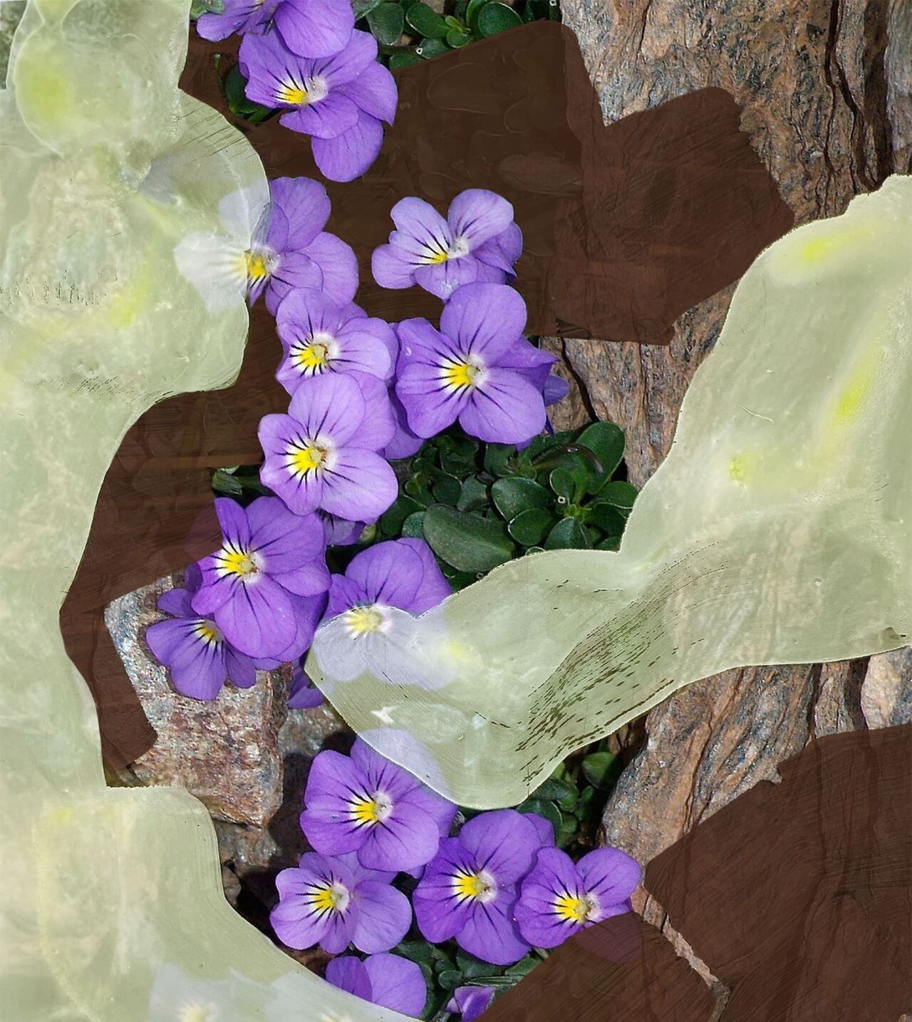 1996 Inez and Vinoodh Byredo image 0