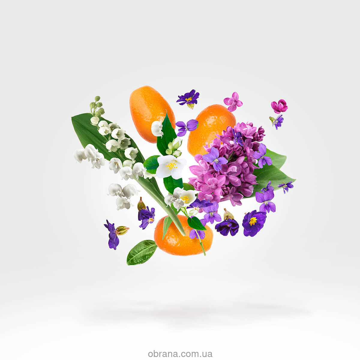 Casamorati 1888 Dama Bianca Xerjoff image 0