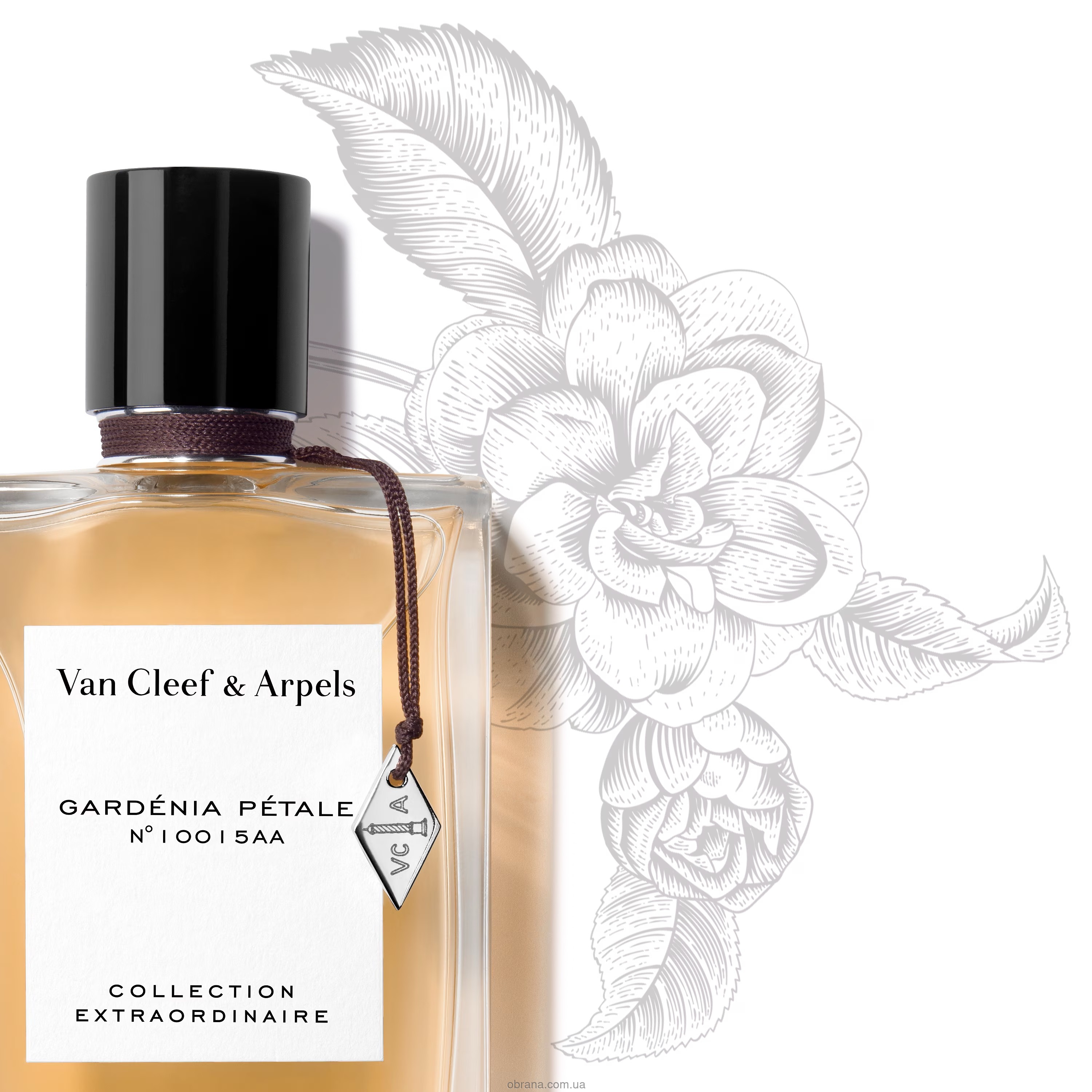 Gardenia Petale Van Cleef and Arpels