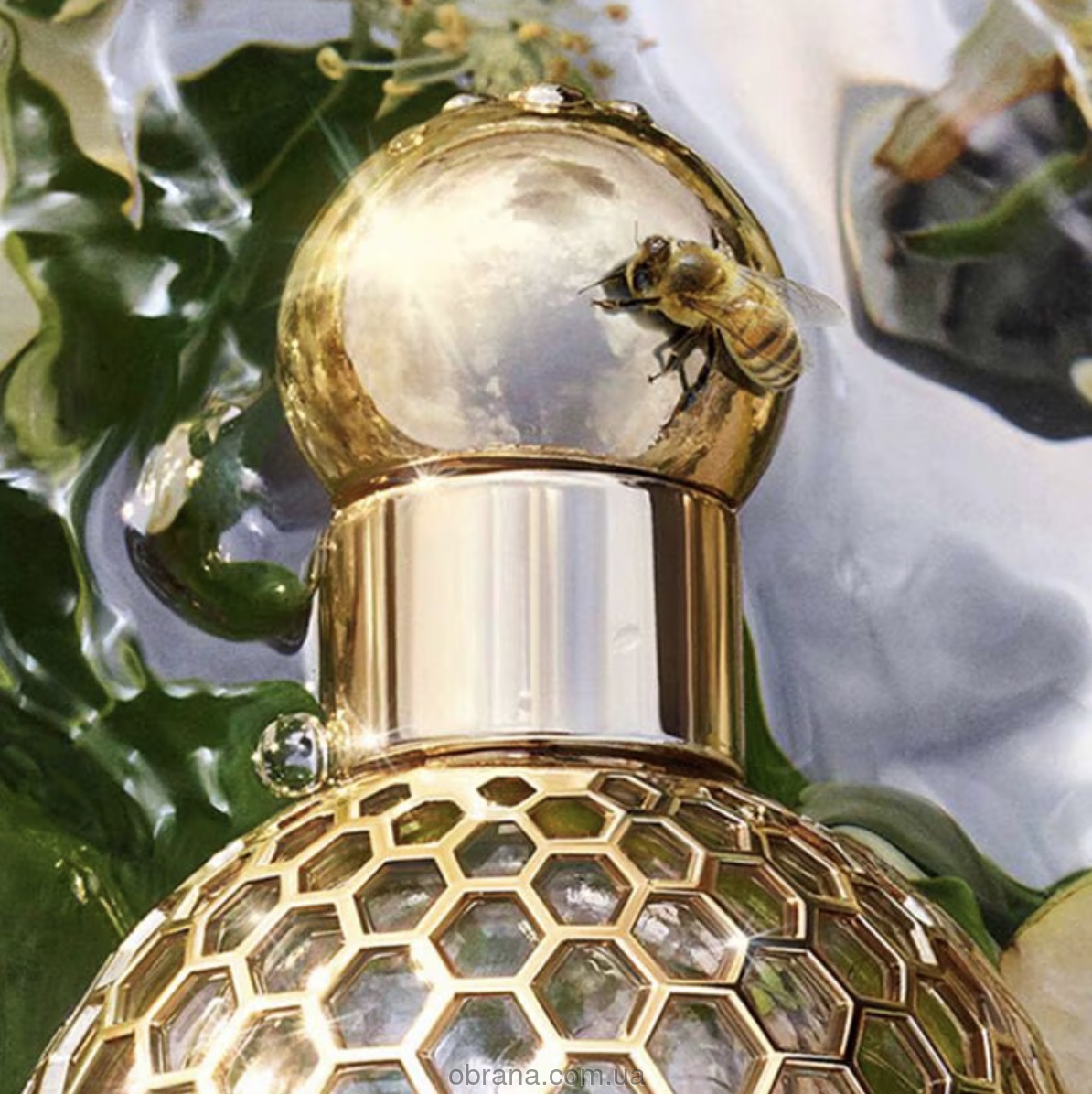 Aqua Allegoria Pera Granita Guerlain image 0