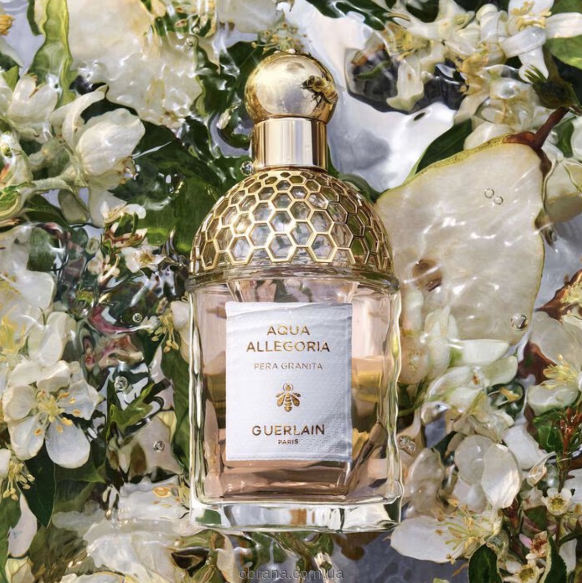 Aqua Allegoria Pera Granita Guerlain image 0