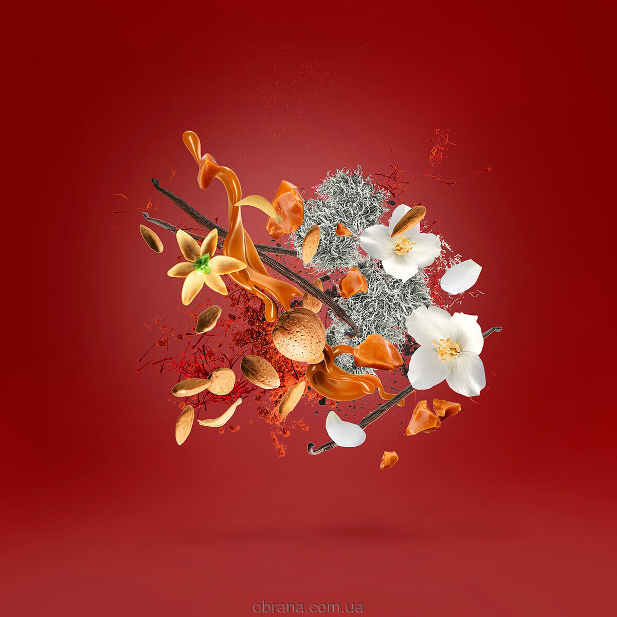 Casamorati 1888 Italica Xerjoff image 0