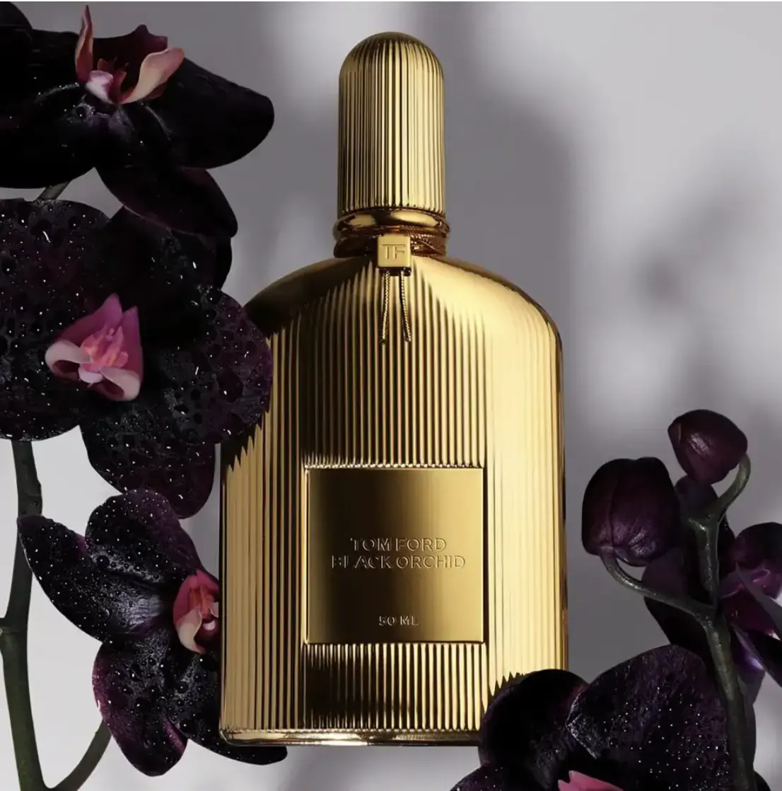 Black Orchid Parfum Tom Ford