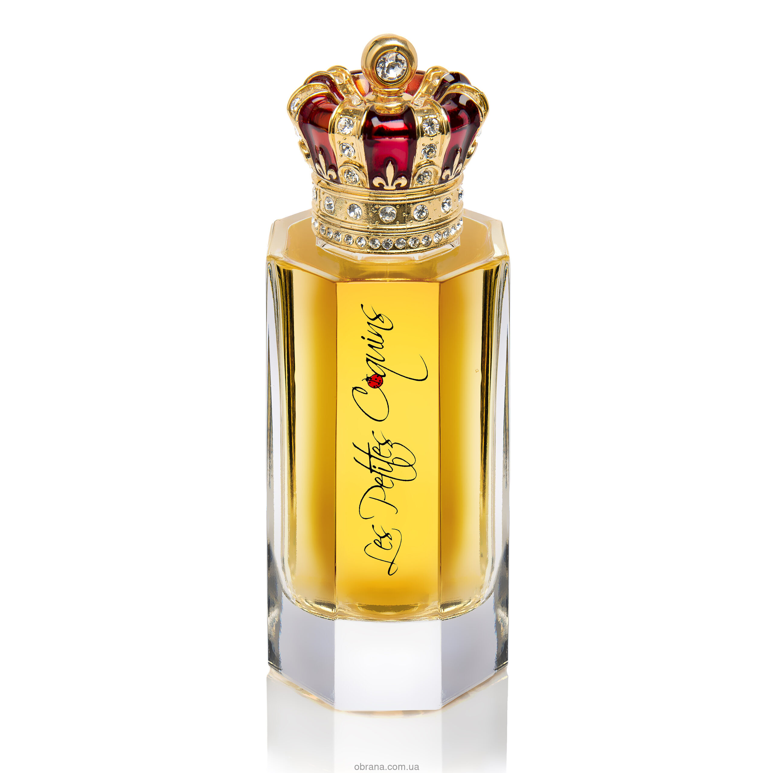 Les Petits Coquins Royal Crown