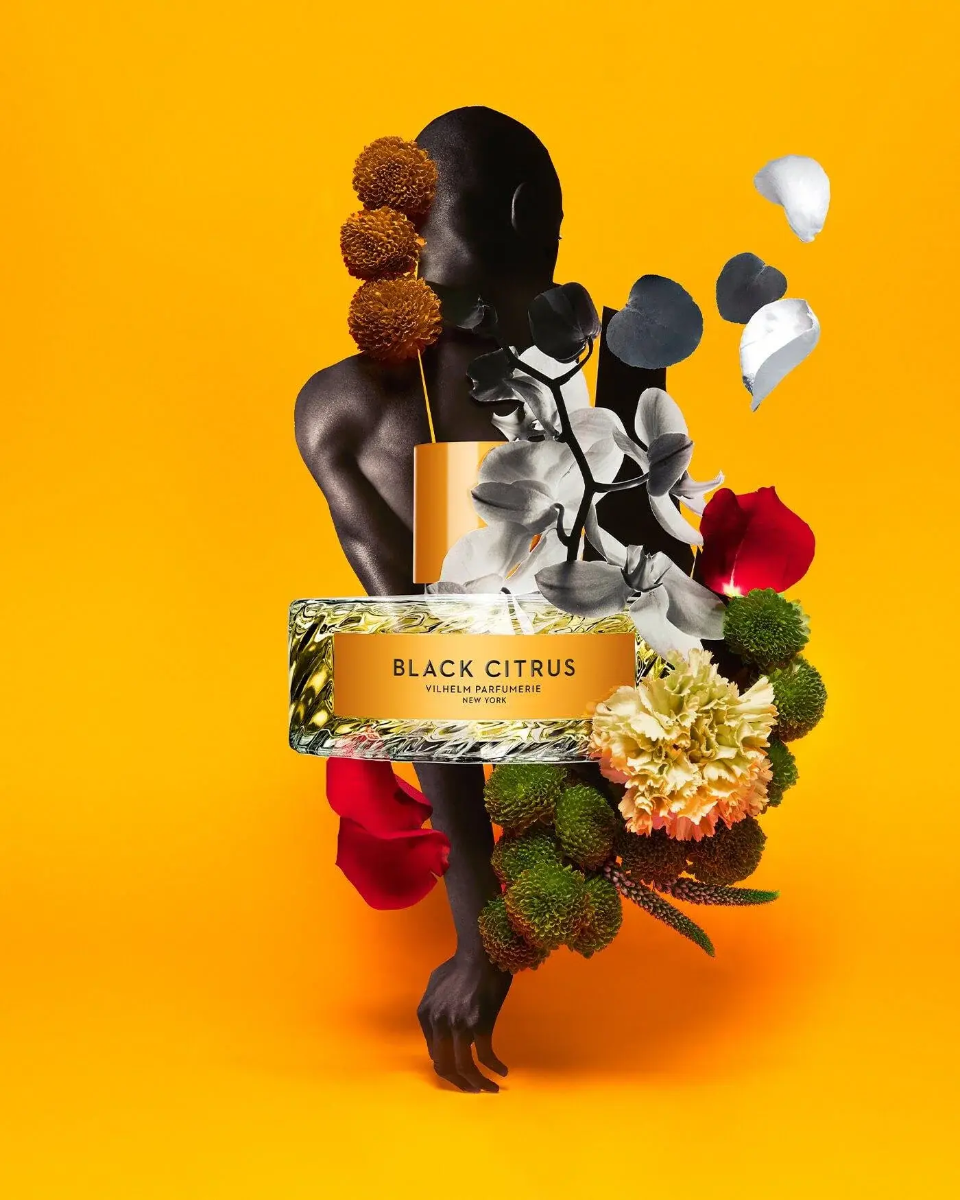 Black Citrus Vilhelm Parfumerie image 0
