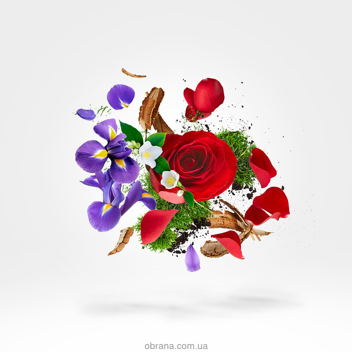 17/17 Stone Label Elle Xerjoff image 0