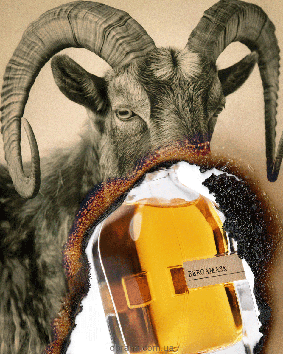 Bergamask Orto Parisi