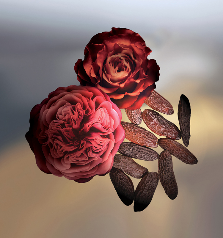 Bal de Roses Keiko Mecheri image 0