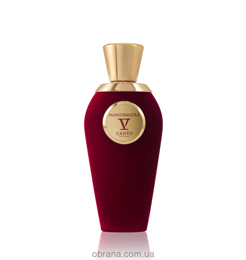 Mandragola V Canto image 0