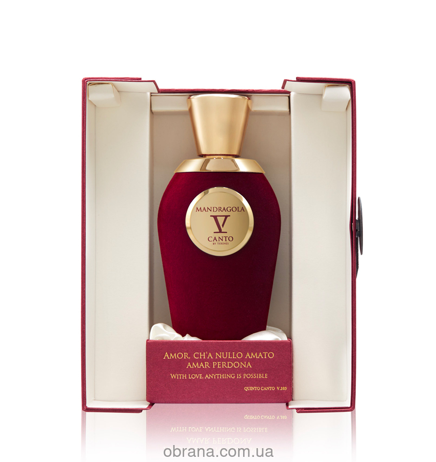 Mandragola V Canto image 0