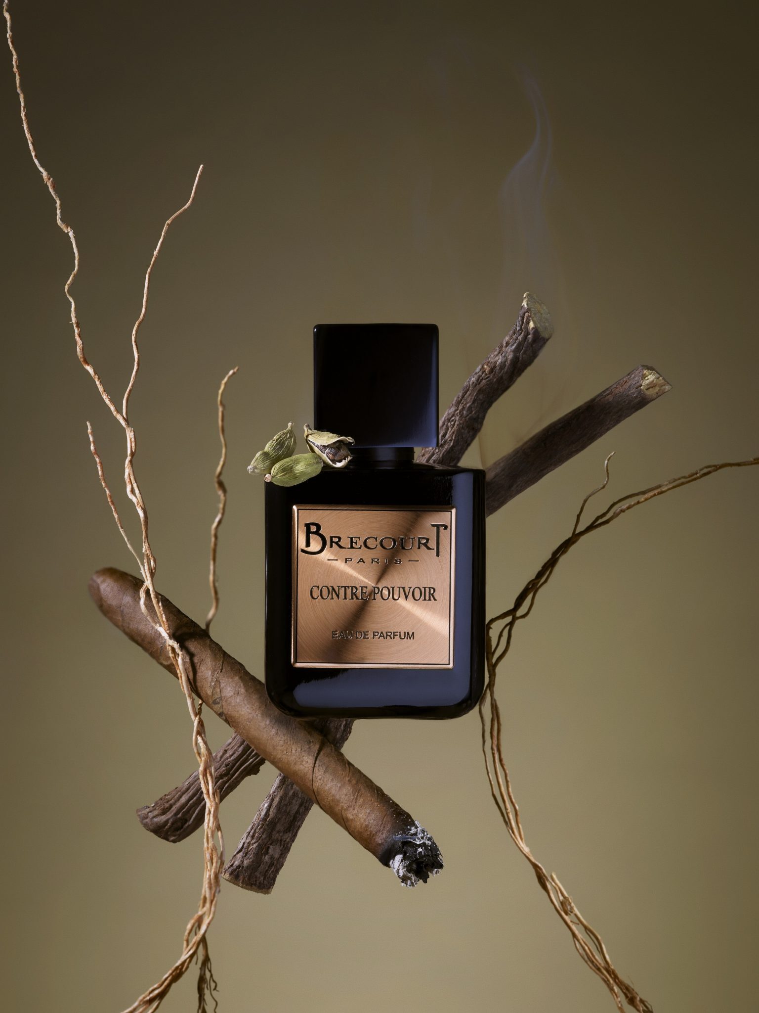 Contre Pouvoir Brecourt