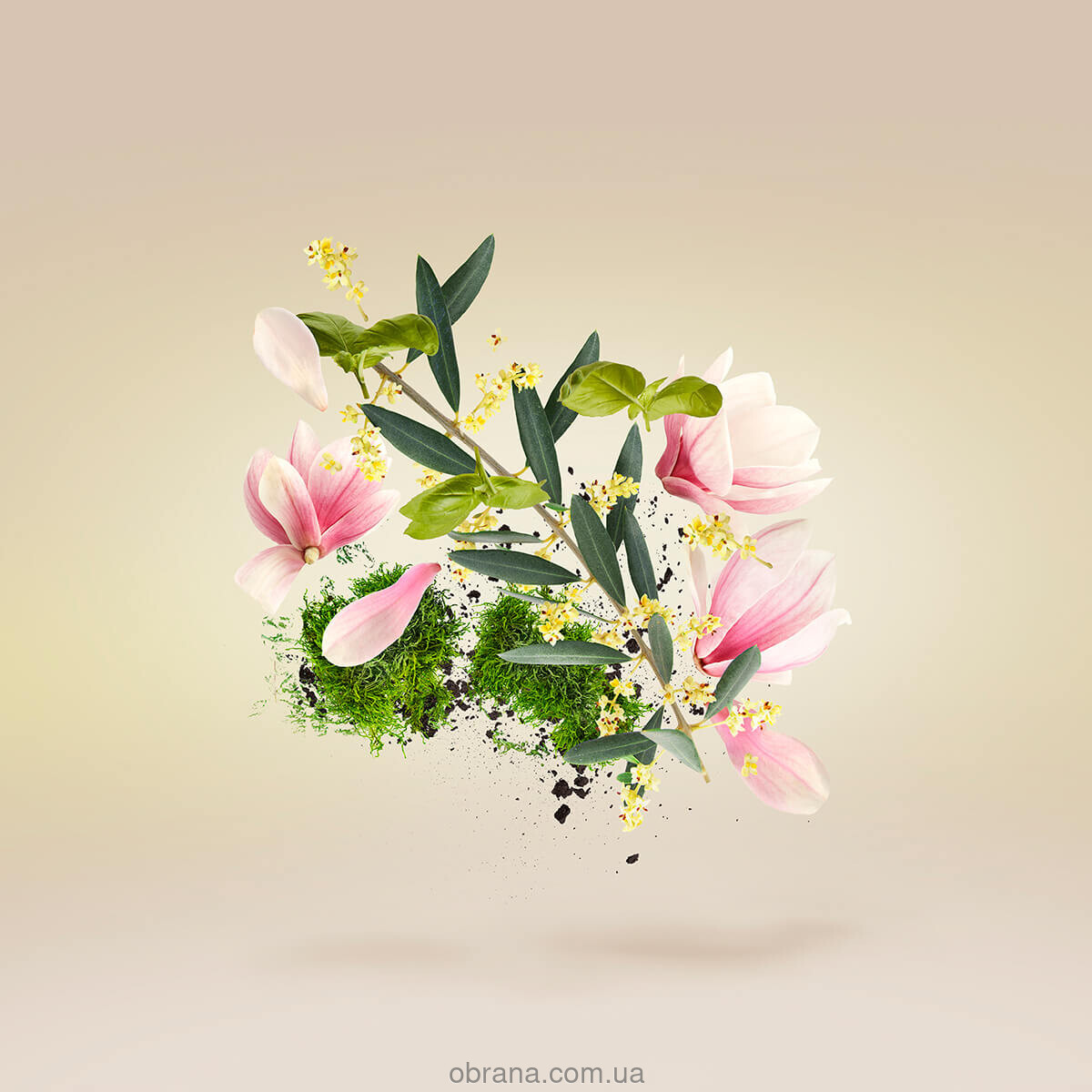 Casamorati 1888 Fiore d'Ulivo Xerjoff image 0