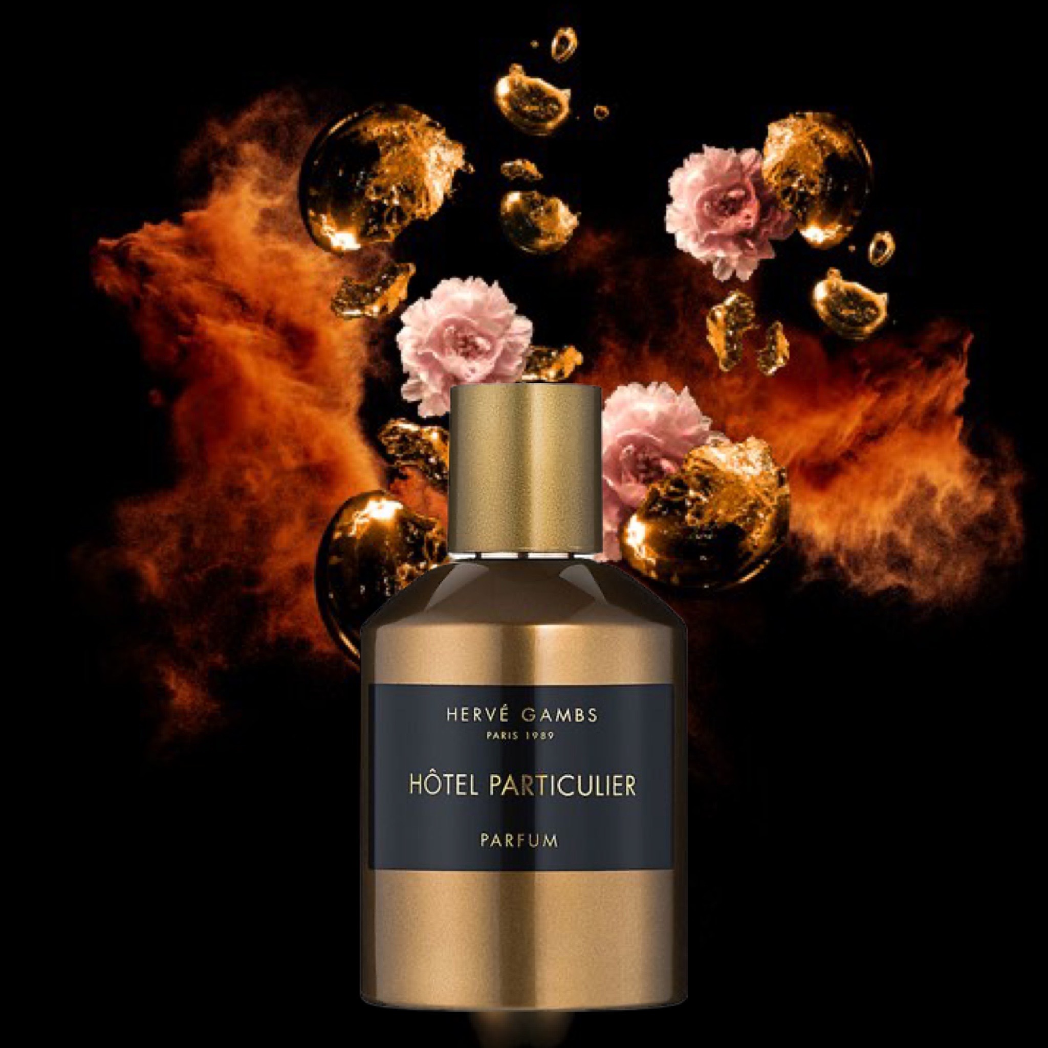 Hotel Particulier Herve Gambs Paris