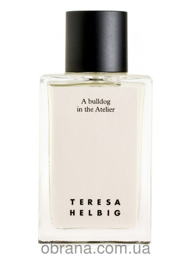 A Bulldog in the Atelier Teresa Helbig