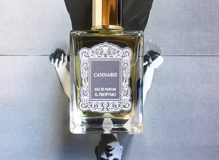Osmo Scents Cannabis Il Profvmo