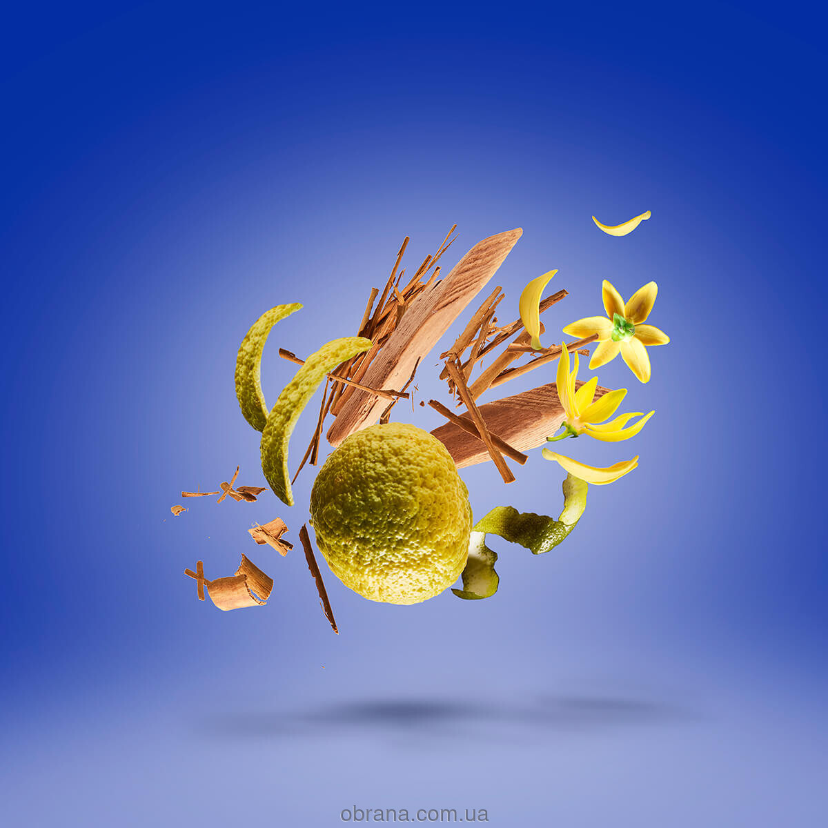 17/17 Stone Label XXY Xerjoff image 0