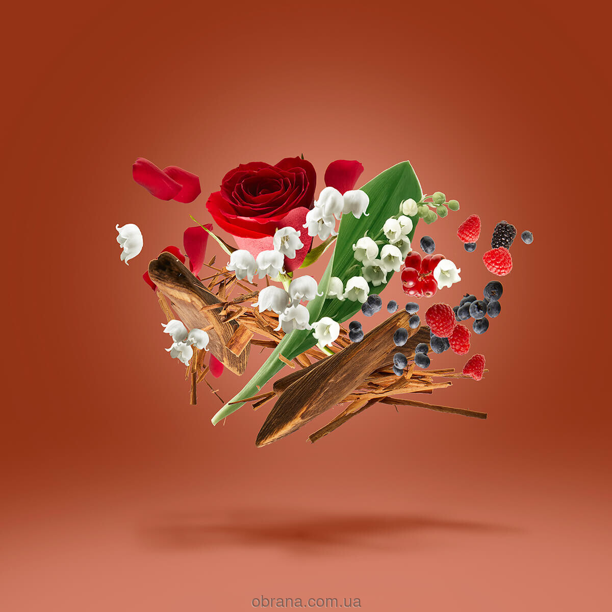 17/17 Stone Label Damarose Xerjoff image 0