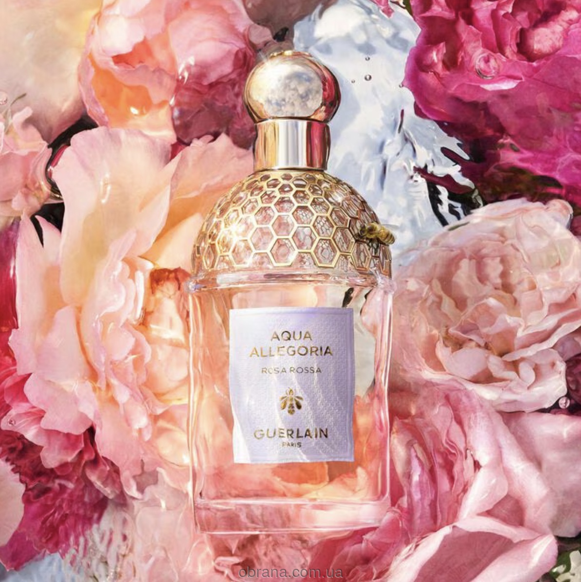 Aqua Allegoria Rosa Rossa Guerlain image 0