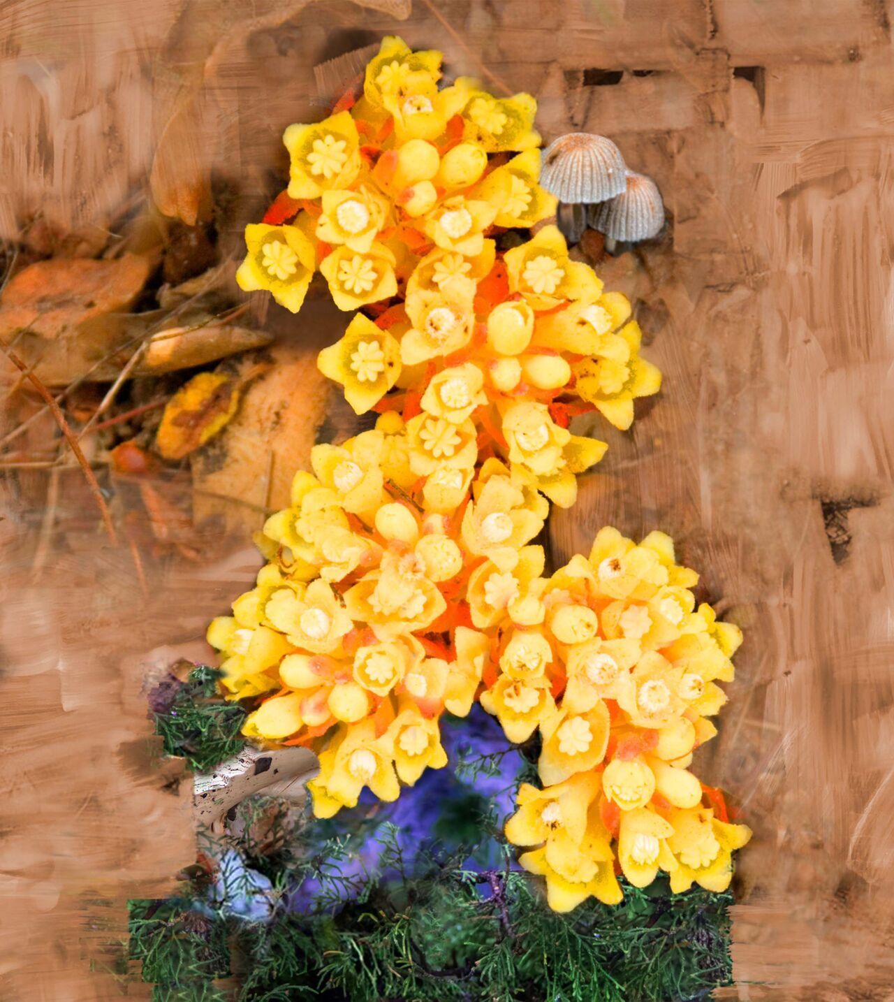 De Los Santos Byredo image 0