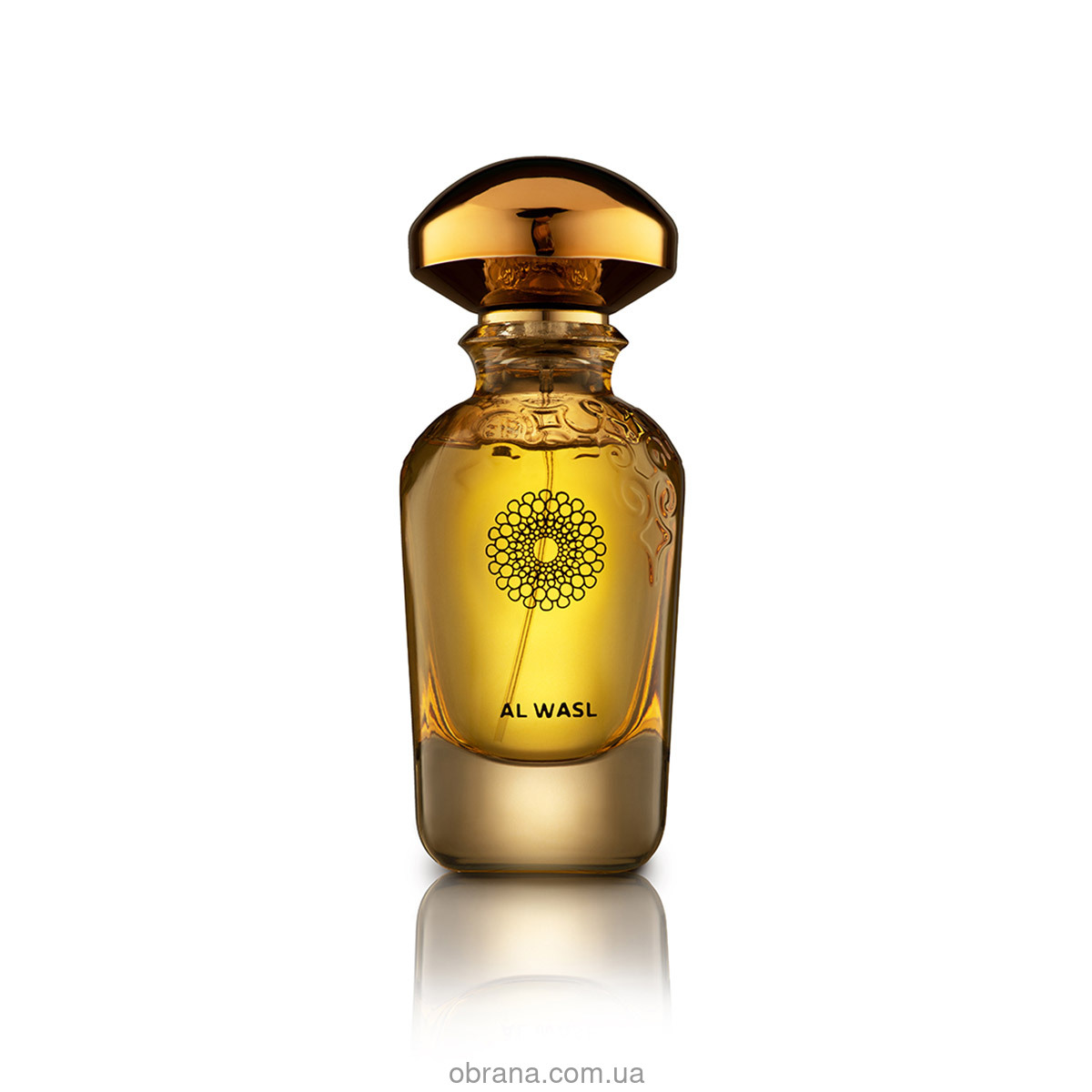 Gold Collection Al Wasl WIDIAN Aj Arabia image 0