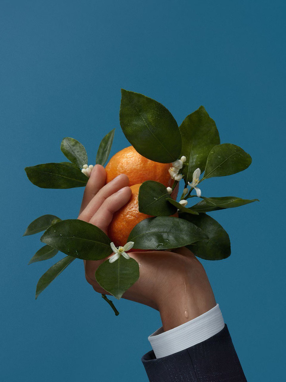 Mediterranean Neroli Ermenegildo Zegna image 0