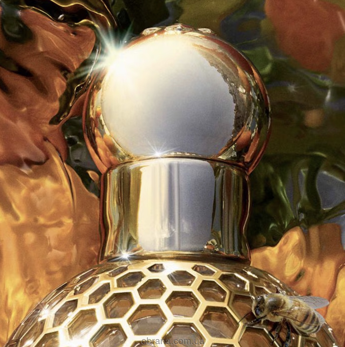 Aqua Allegoria Mandarine Basilic Forte Guerlain image 0