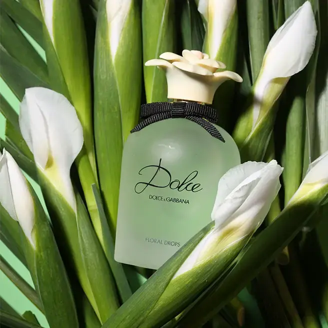 Dolce Floral Drops Dolce and Gabbana