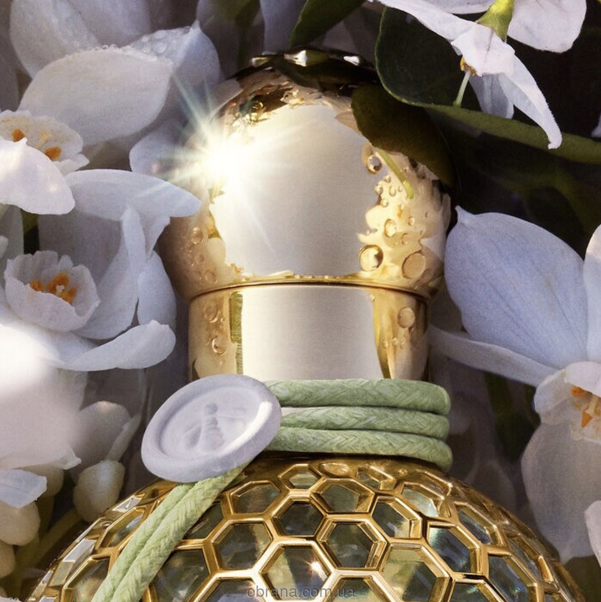 Aqua Allegoria Nerolia Vetiver Harvest Guerlain image 0
