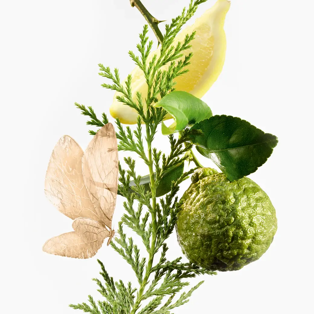 Eau d'Hadrien Eau De Parfum Annick Goutal image 0