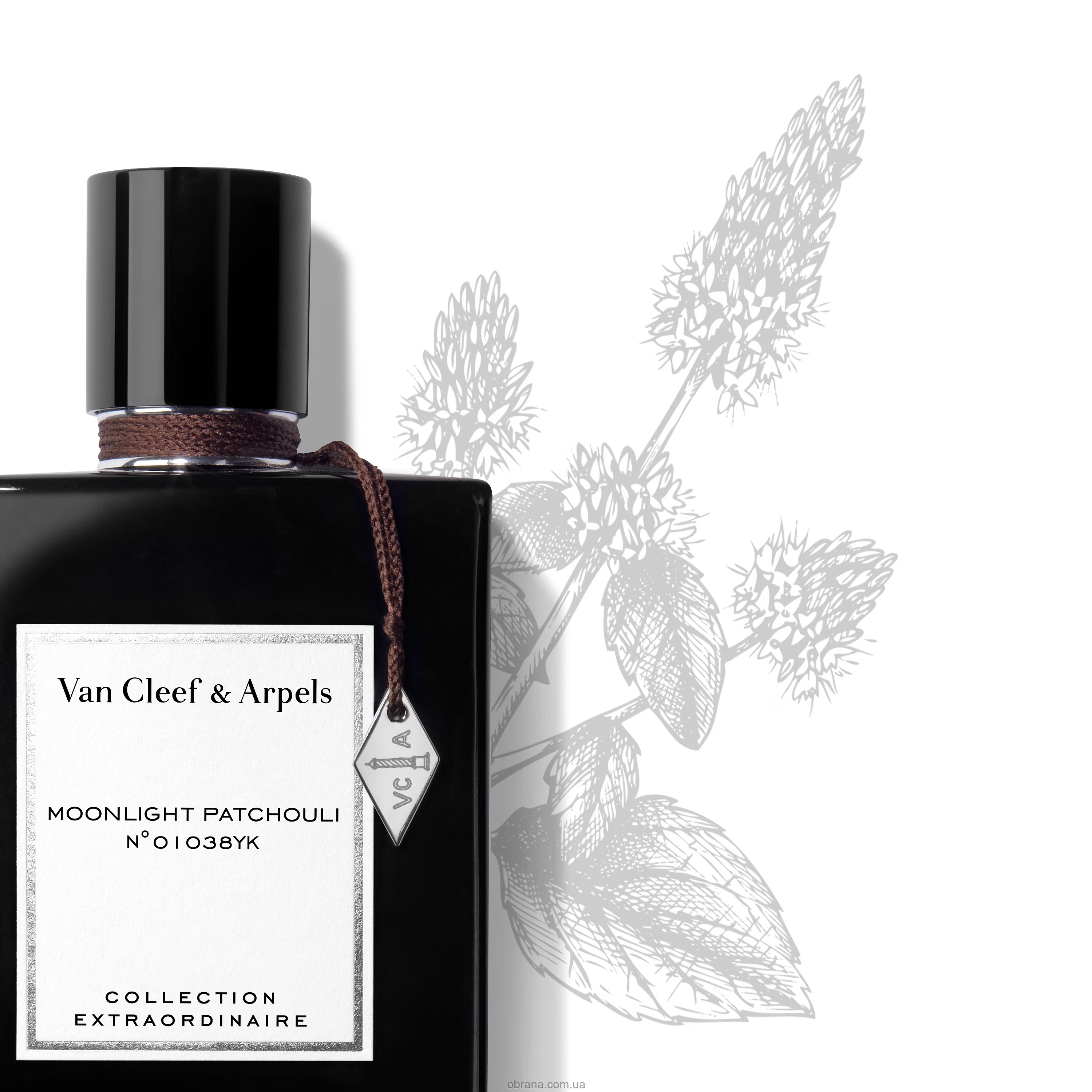 Moonlight Patchouli Van Cleef and Arpels
