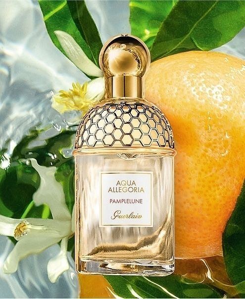 Aqua Allegoria Pamplelune Guerlain image 0