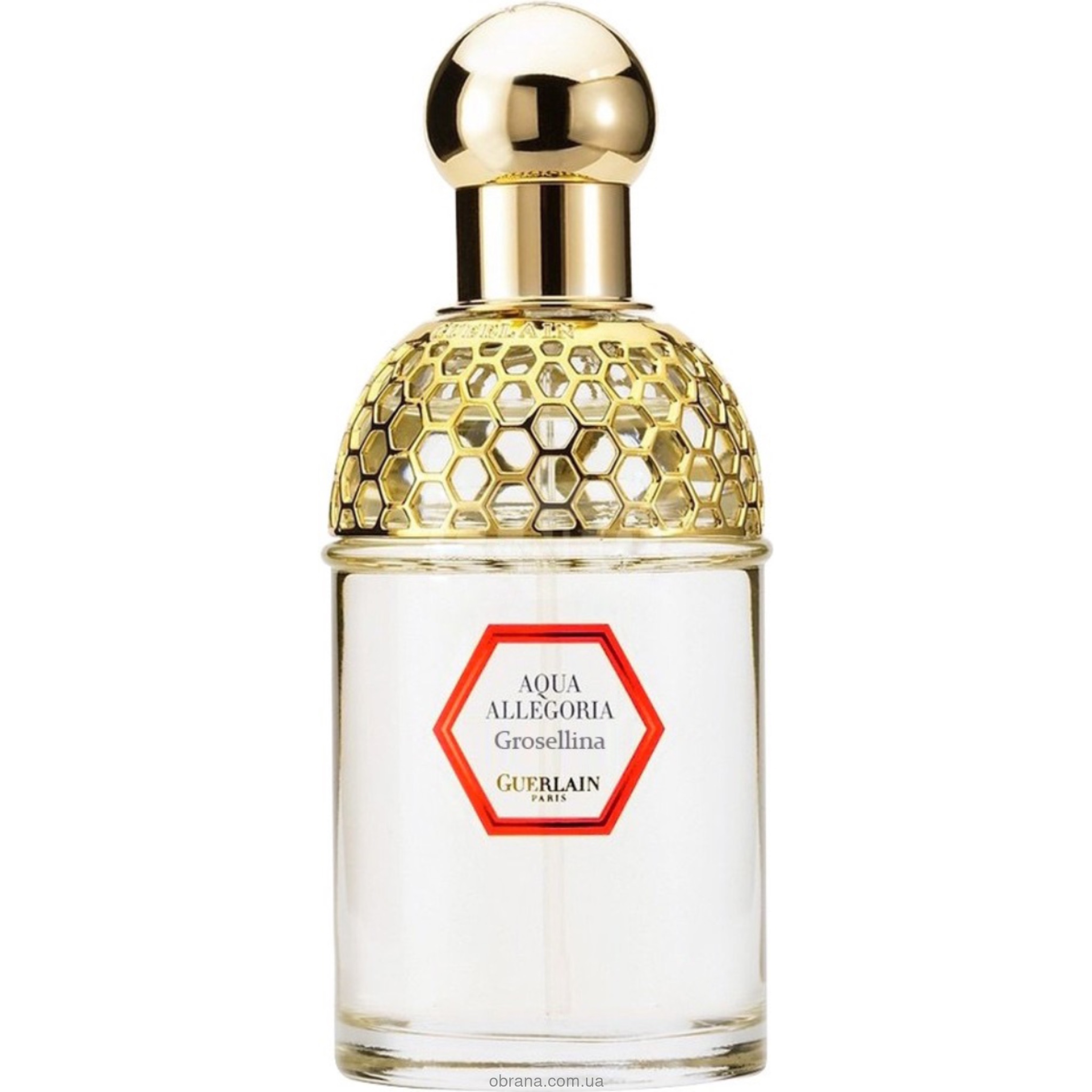 Знятість Aqua Allegoria Grosellina Guerlain