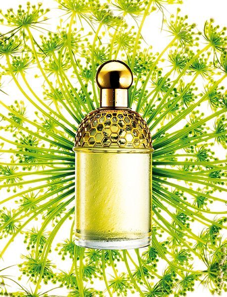 Знятість Aqua Allegoria Angelique - Lilas Guerlain image 0