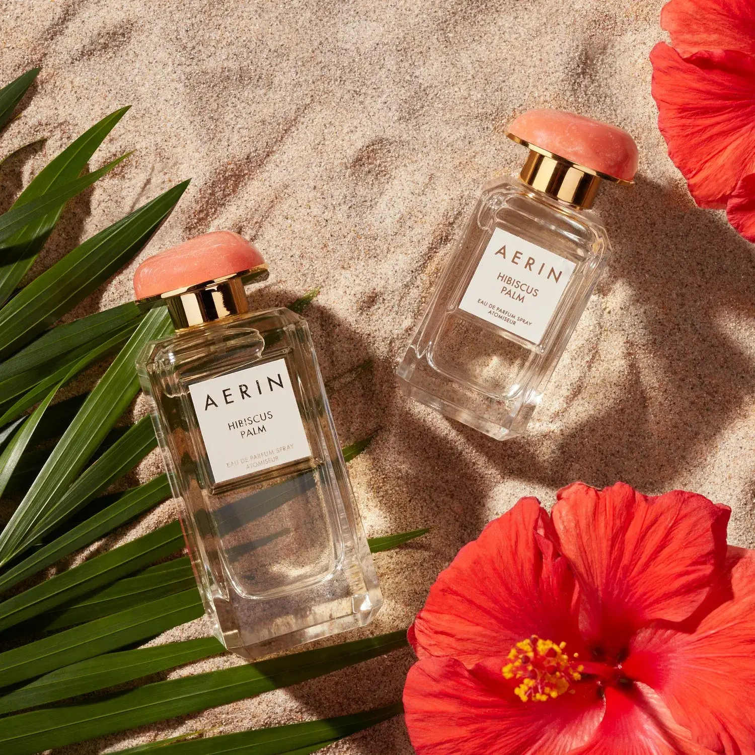 Hibiscus Palm Aerin Lauder