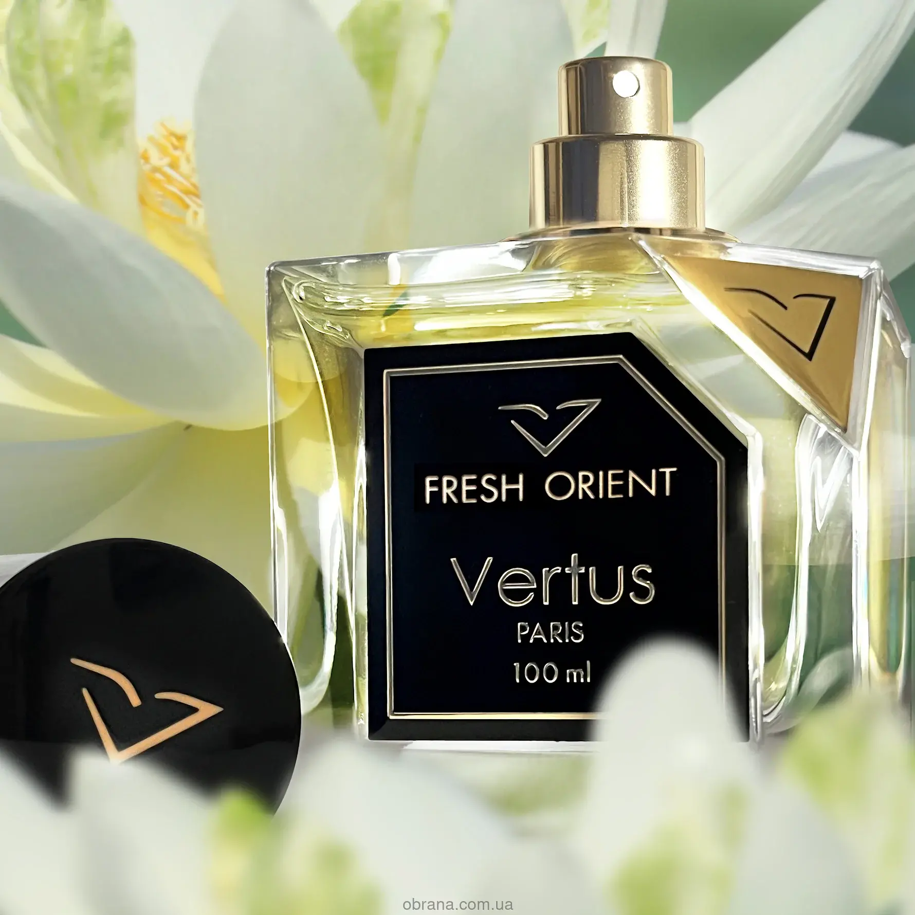 Fresh Orient Vertus image 0