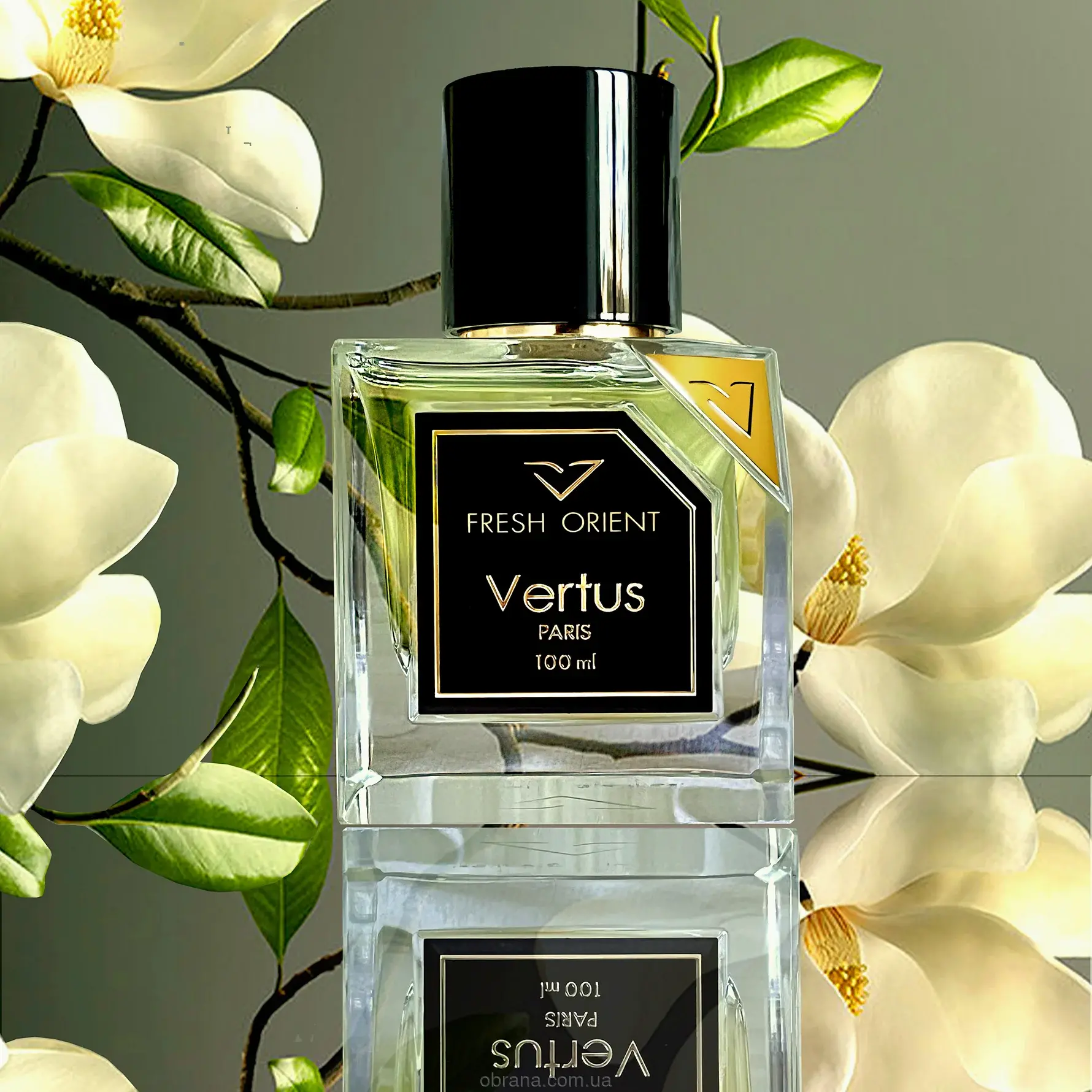 Fresh Orient Vertus image 0