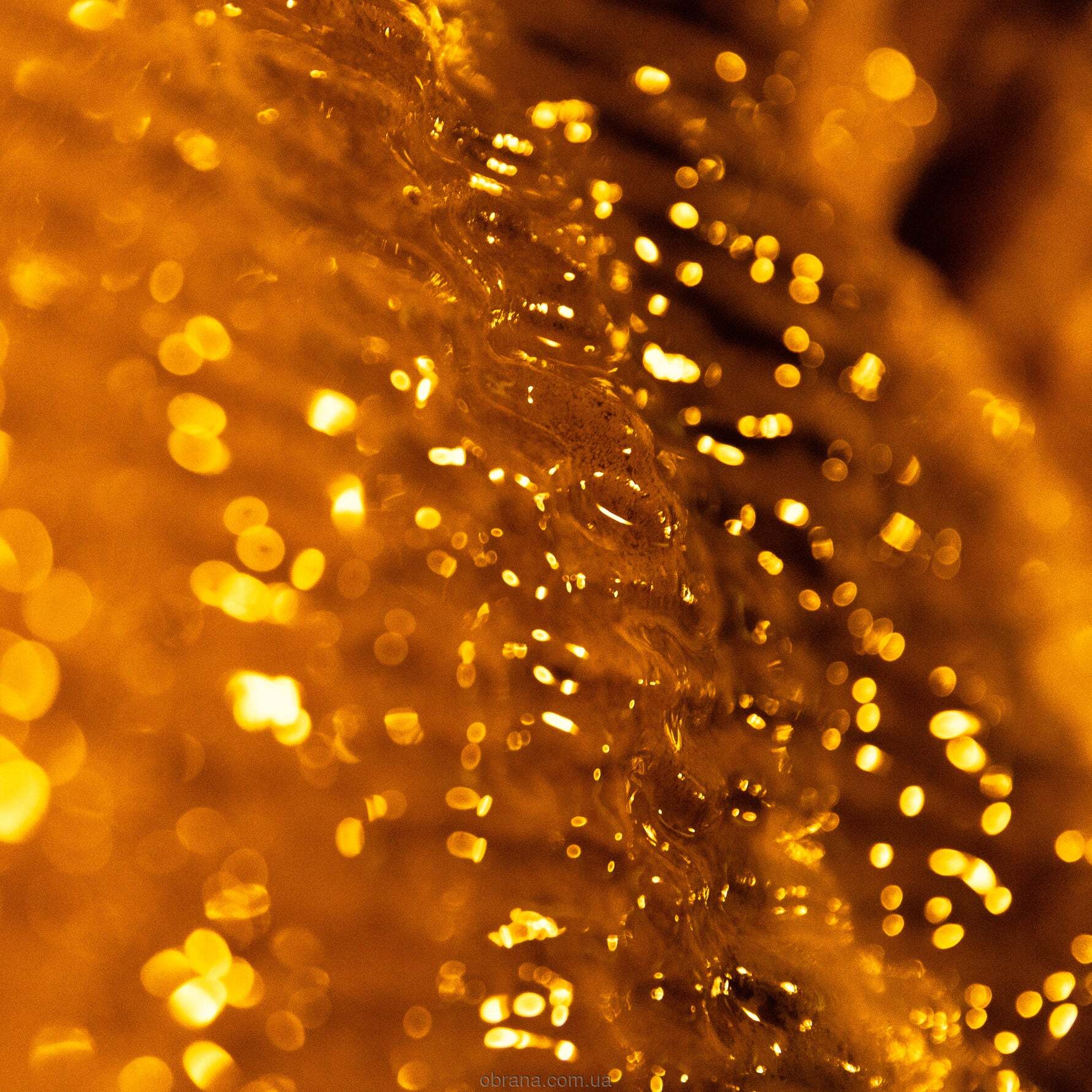 Amber Elixir Vertus image 0