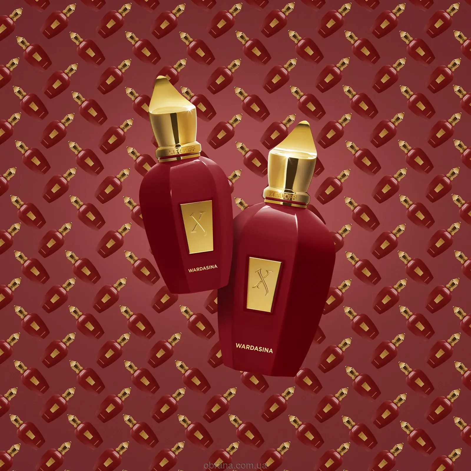 Vibe Wardasina Xerjoff