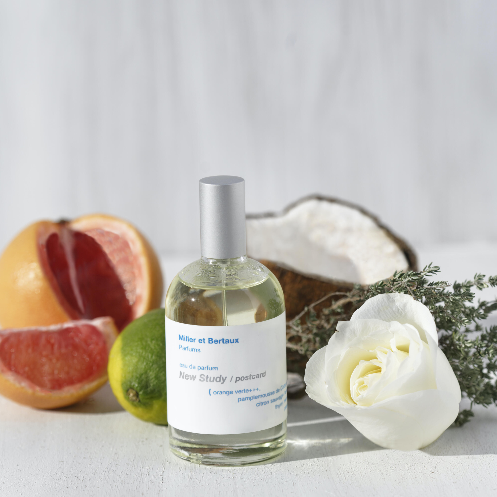 New Study Miller et Bertaux