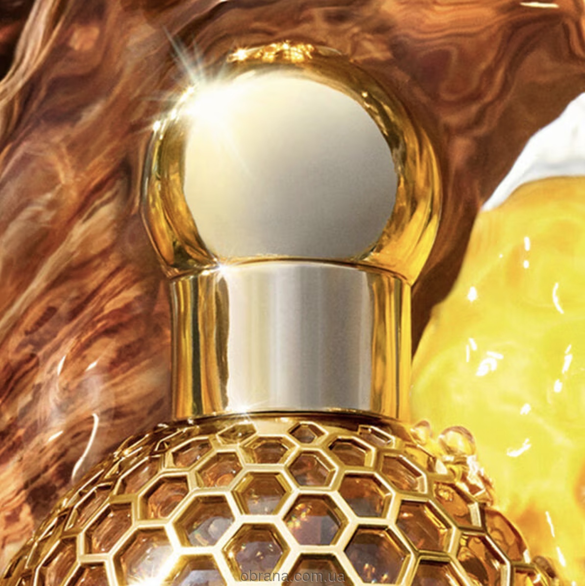 Aqua Allegoria Oud Yuzu Forte Guerlain image 0