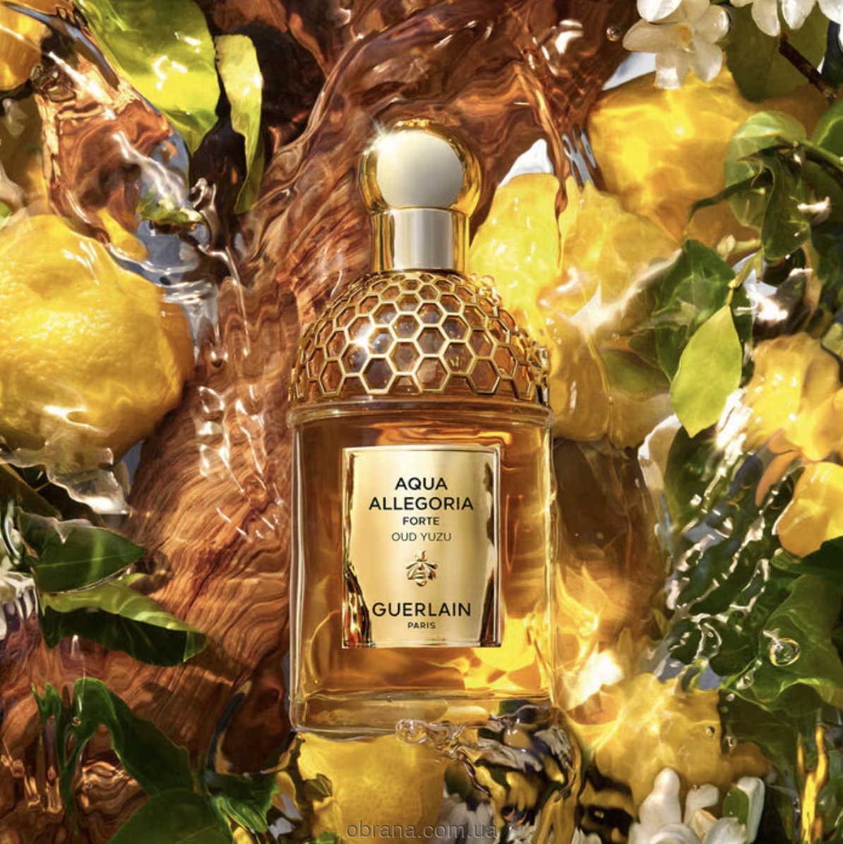 Aqua Allegoria Oud Yuzu Forte Guerlain image 0