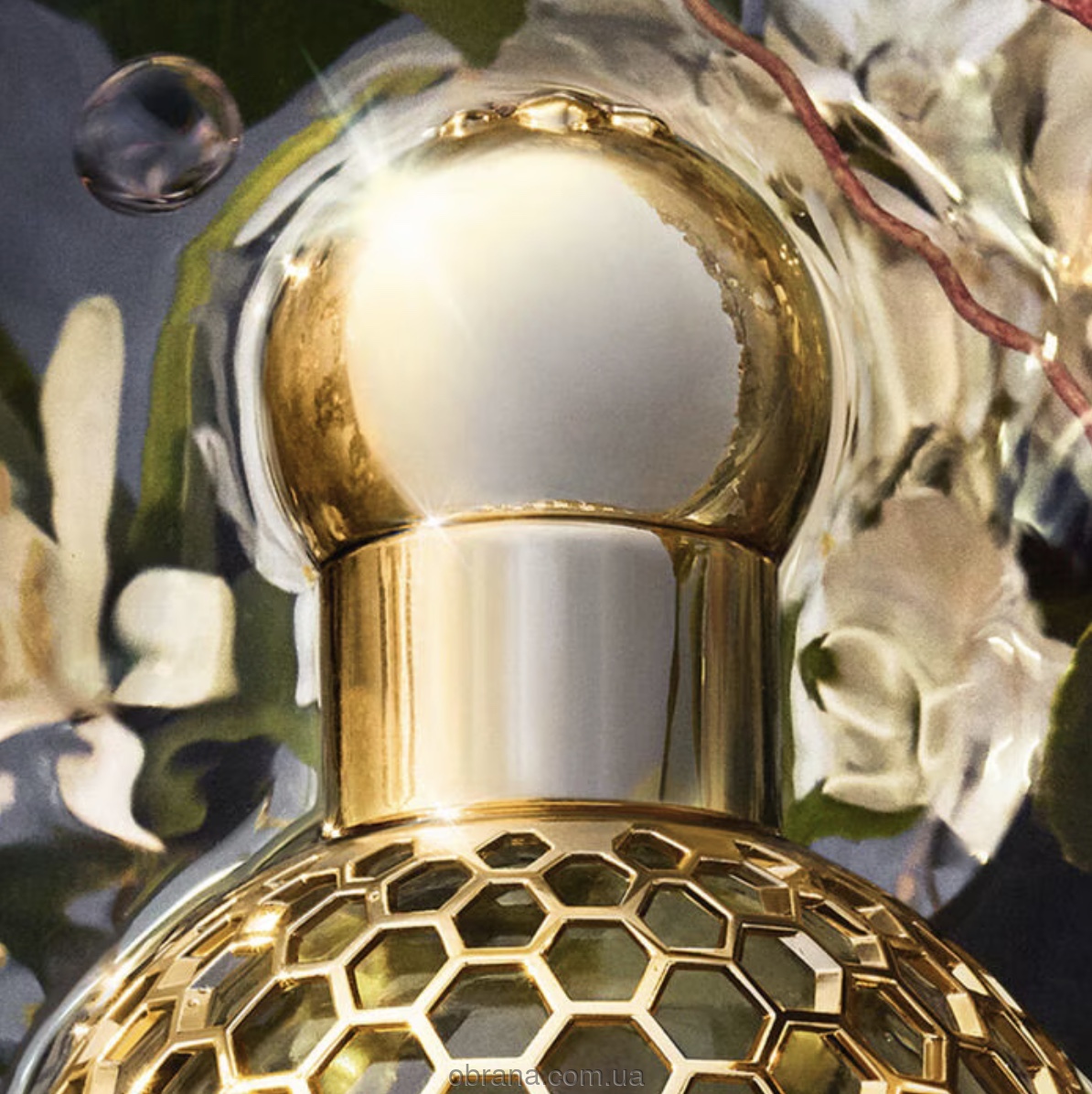 Aqua Allegoria Nerolia Vetiver Forte Guerlain image 0