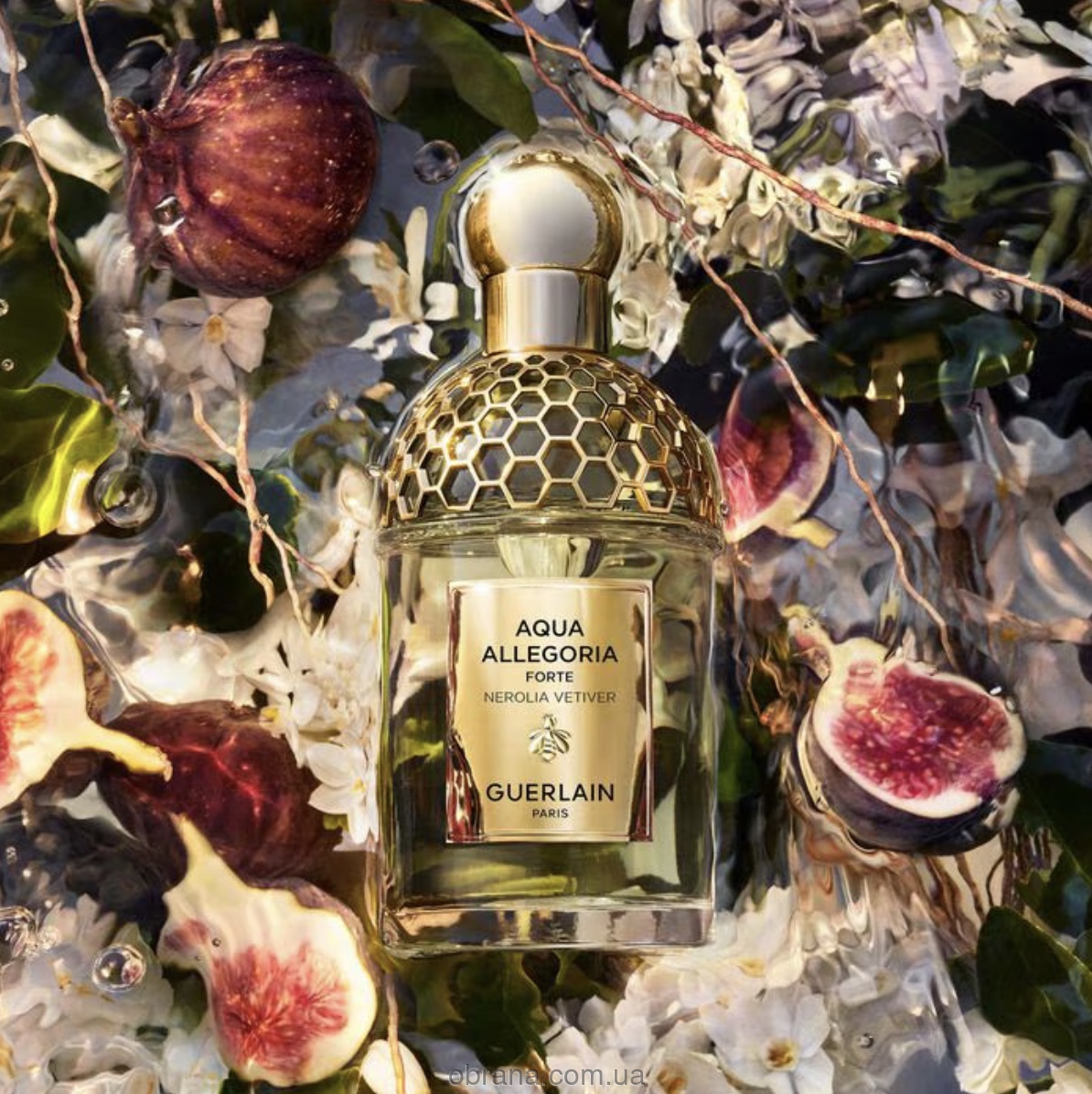 Aqua Allegoria Nerolia Vetiver Forte Guerlain image 0