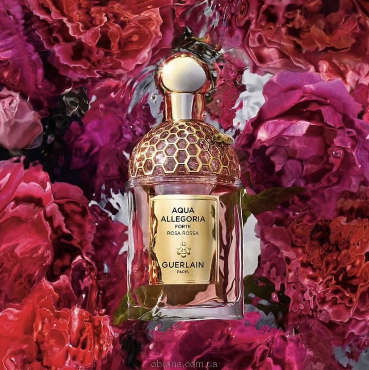 Aqua Allegoria Rosa Rossa Forte Guerlain image 0